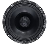 Коаксиальная АС DL Audio Anaconda 165 Coax
