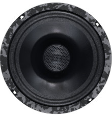 Коаксиальная АС DL Audio Anaconda 165 Coax