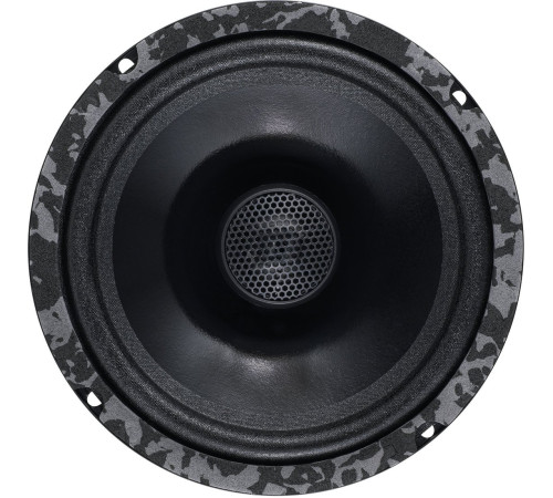 Коаксиальная АС DL Audio Anaconda 165 Coax