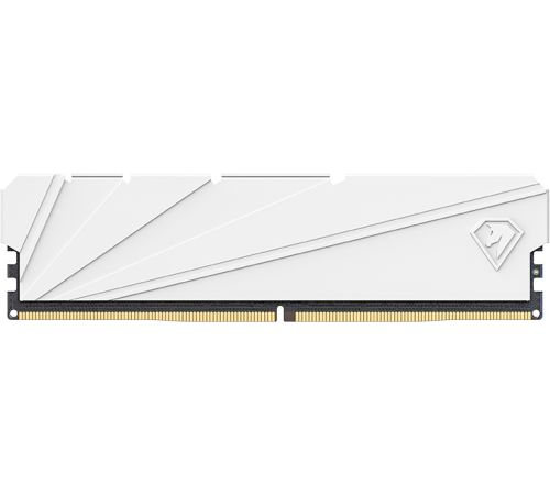 Оперативная память Netac Shadow S 8ГБ DDR4 2666 МГц NTSSD4P26SP-08W