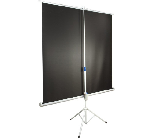 Проекционный экран BRAUBERG Tripod 1:1 150x150 236729