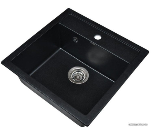 Кухонная мойка Wisent 510-25W с сифоном GER013
