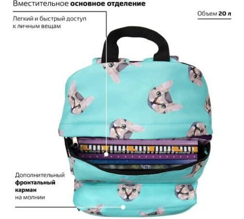 Городской рюкзак BRAUBERG Cats 229881