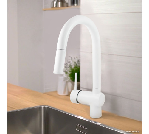 Смеситель Gross Aqua Extra 3140609MW