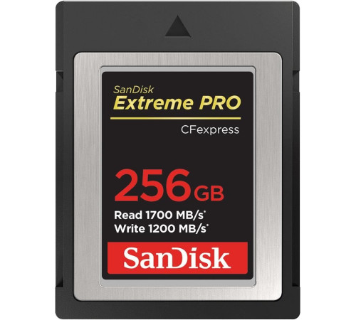 Карта памяти SanDisk Extreme Pro CFexpress Type B SDCFE-256G-GN4NN 256GB