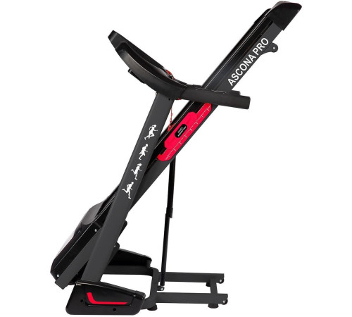 Электрическая беговая дорожка DFC Ascona Pro T640