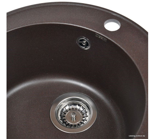 Кухонная мойка Wisent 480-27WR с сифоном GER013