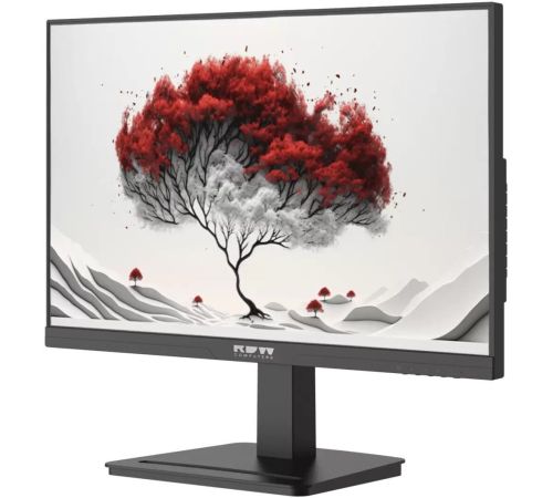 Монитор RDW Computers 2401K/F08B0100V2A1A