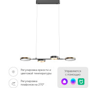 Подвесная люстра Yeelight Arowana Chandelier C2103 YLDL031 4 плафона