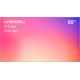 Дисплей для видеостен Lumien LVW5535LL