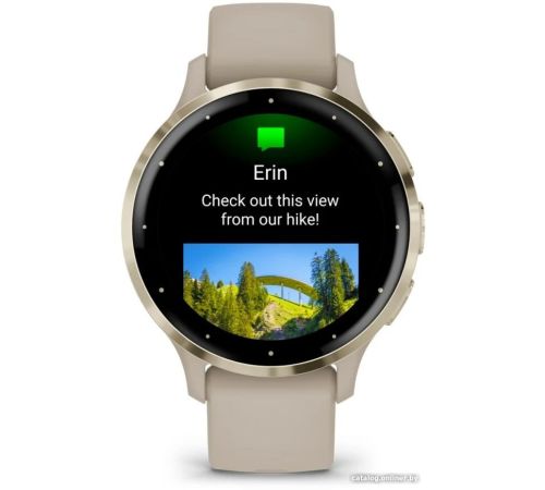 Умные часы Garmin Venu 3S френч-грей, с силиконовым ремешком