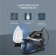 Утюг Rowenta Turbo Steam VR8322F0