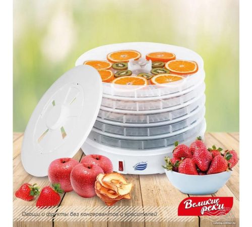 Сушилка для овощей и фруктов Великие Реки ВР-5 прозрачный/белый
