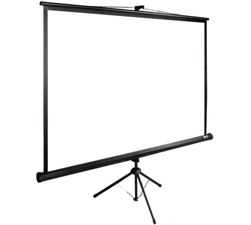 Проекционный экран CACTUS TriExpert 165x220 CS-PSTE-220X165-BK