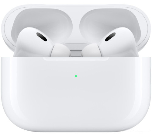 Наушники Apple AirPods Pro 2 с разъемом USB Type-C