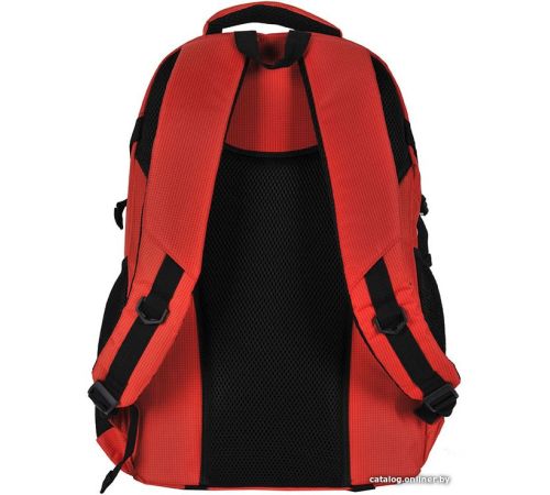Городской рюкзак Paso 22-30060OG