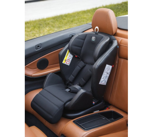 Детское автокресло Amarobaby Favorite Isofix С усиленной боковой поддержкой AB24-20FAV/0910 черный/графит