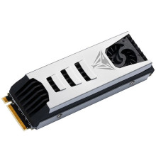 SSD Patriot Viper PV553 1TB PV553P1TBM28H