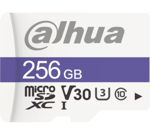 Карта памяти Dahua DHI-TF-C100/256GB