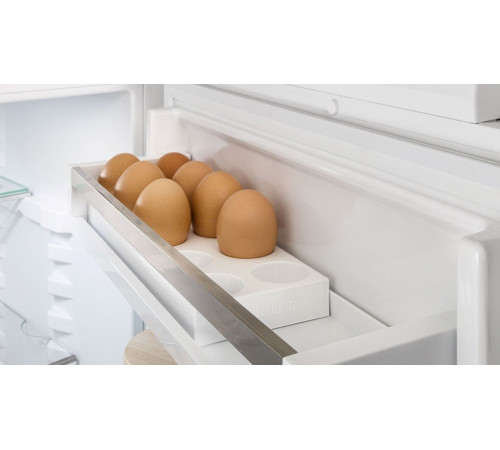 Однокамерный холодильник Liebherr IRe 4100 Pure