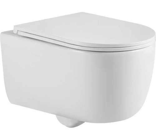 Унитаз подвесной Berges Wasserhaus Tornas Rimless + Visam Slim 525 EX-043411 с кнопкой, с сиденьем