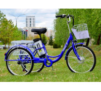 Электровелосипед Terax NAROCH XD02