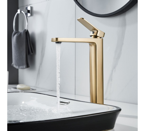 Смеситель Shevanik S9911G