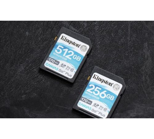 Карта памяти Kingston Canvas Go! Plus SDXC 256GB SDG3/256GB