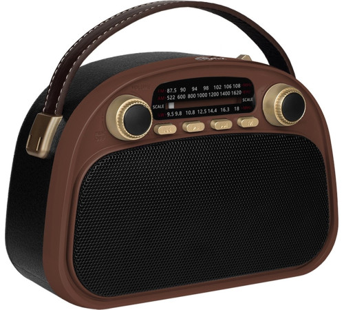 Радиоприемник Ritmix RPR-040 шоколадный