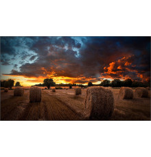 Информационная панель Samsung VM46T-U LH46VMTUBGBXCI