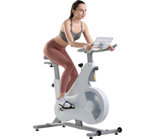 Велотренажер DFC Ovicx B-Q210W