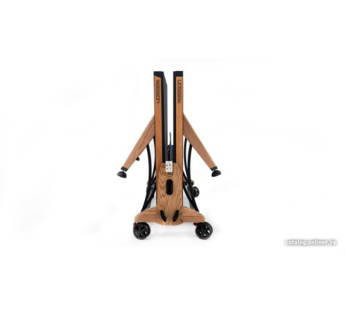 Теннисный стол Rasson Premium T03 Indoor 51.235.01.0