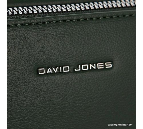 Женская сумка David Jones 823-6823-1-PCB зеленый