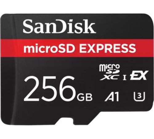 Карта памяти SanDisk Express microSDXC SDSQXFN-256G-GN4NN 256GB