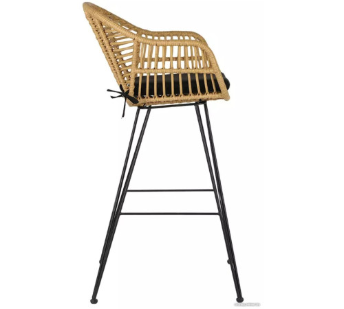 Стул с подлокотниками Bergenson Bjorn Vetle Bent BB0000476