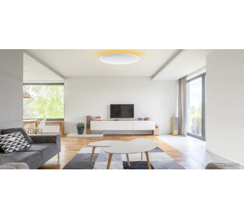 Светильник-тарелка Yeelight Arwen Ceiling Light 450C YLXD013-B
