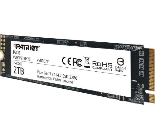 SSD Patriot P300 2TB P300P2TBM28