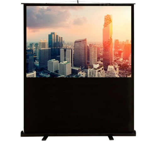 Проекционный экран CACTUS FloorCompactExpert 102x180 CS-PSFLCE-180X102