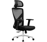 Офисное кресло Evolution ErgoLine 2 черный