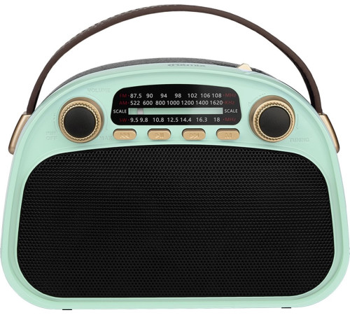 Радиоприемник Ritmix RPR-040 мятный