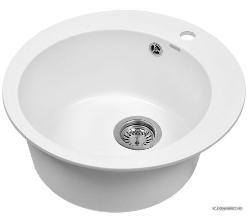 Кухонная мойка Wisent 510-28WR с сифоном GER013