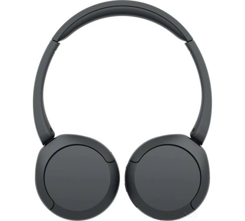 Наушники Sony WH-CH520 черный