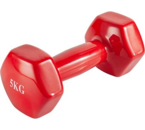 Гантель VictoryFit VF-DV050 5 кг