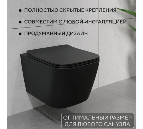 Унитаз подвесной Lauter Magdeburg 21103EC + AM.PM I012703.0201 черный матовый