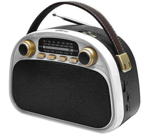 Радиоприемник Ritmix RPR-040 белый