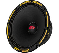 Среднечастотная АС SPL C8-M300