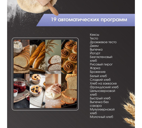 Хлебопечка Zigmund & Shtain ZBM-601