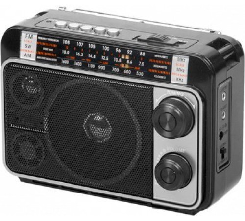 Радиоприемник Ritmix RPR-171