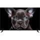 Телевизор Topdevice 50