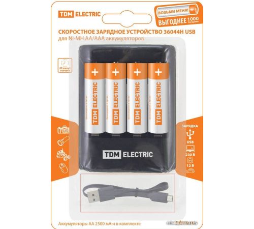 Аккумуляторы + зарядное TDM Electric 36044Н SQ1702-0101